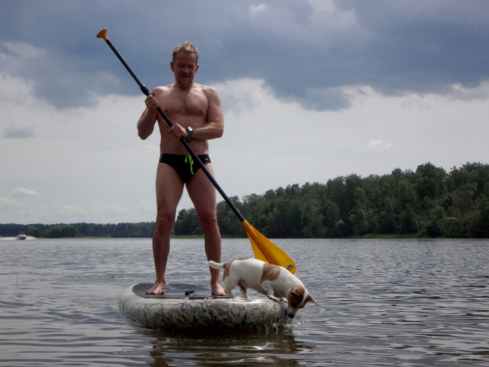 Собака серфер